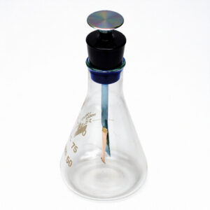 Electroscope Simple Flask Type for Physics Lab