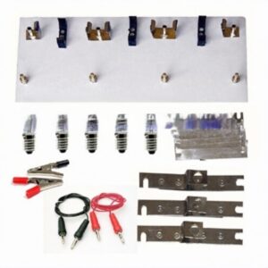 Electricity and Cell Lab