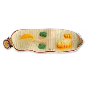 Earthworm Anatomical Model for Biology Lab