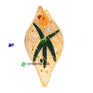 Euglena Zoology Model for Biology Lab