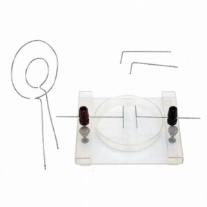 Electric Fields Apparatus