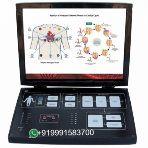12 Lead Real Time ECG Trainer for Bio Medical Teaching Labs