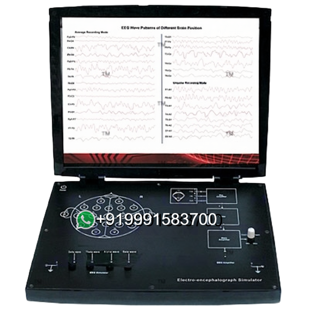 Electro-Encephalograph Trainer for Bio Medical Teaching Labs