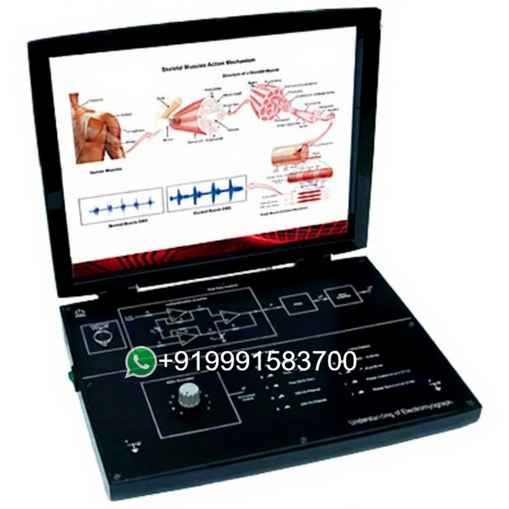 Electro-Myograph Trainer for Bio Medical Teaching Labs