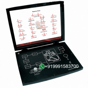 Pacemaker Trainer for Bio Medical Teaching Labs