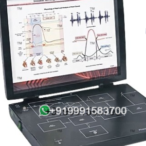 Phonocardiograph Trainer for Bio Medical Teaching Labs