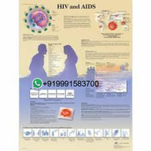 AIDS Chart Size 75x100 Cms for Educational Lab