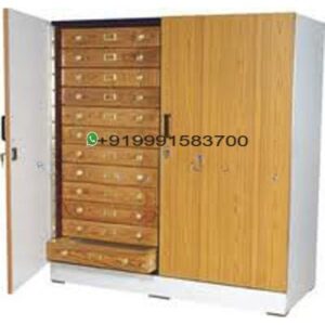 Insect Showcase Cabinet