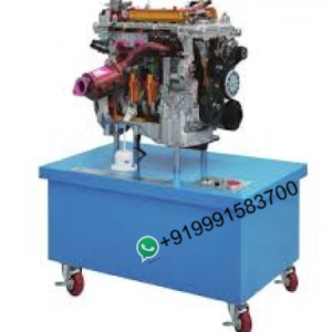 Sectioned Rear Axle for Sedan with Drum Brake Trainerfor engineering schools