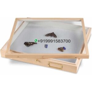 Standard Insect Drawers