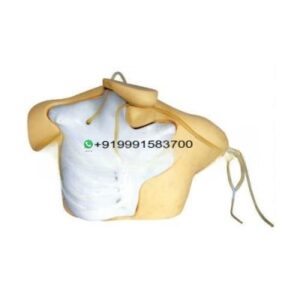 Central Venous Catheterization Simulator