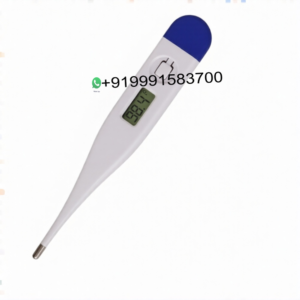 Digital Thermometer Rigid