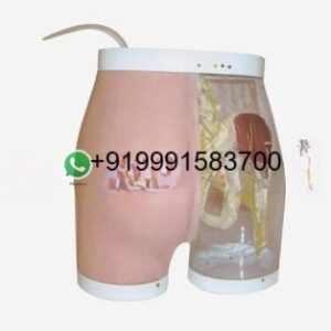 School Science Lab Anatomy Microscope