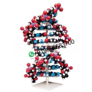 School Science Lab Molecular Model