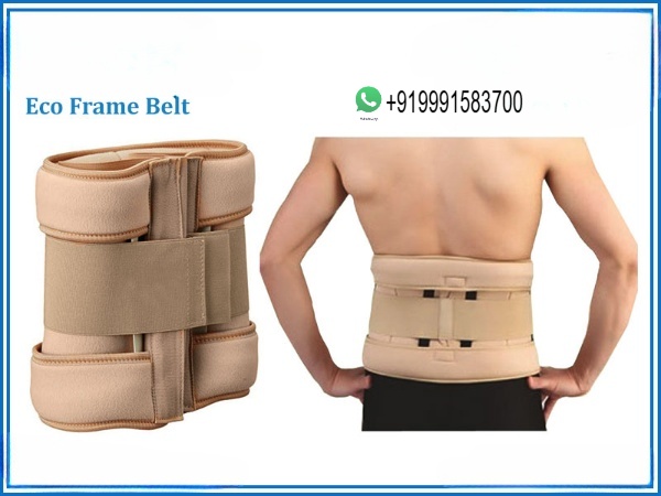 ECO FRAME BELT